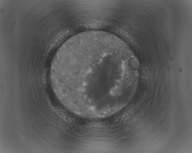 X0000067890738200605041552