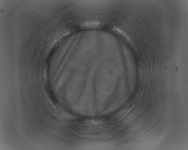 X0000067890739200605041552