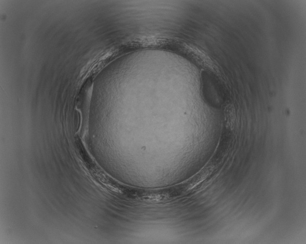 X0000067890740200605041552