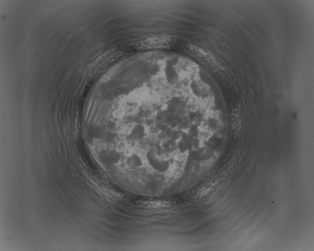 X0000067890741200605041552