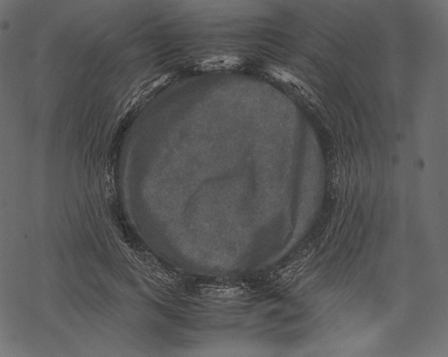 X0000067890743200605041552