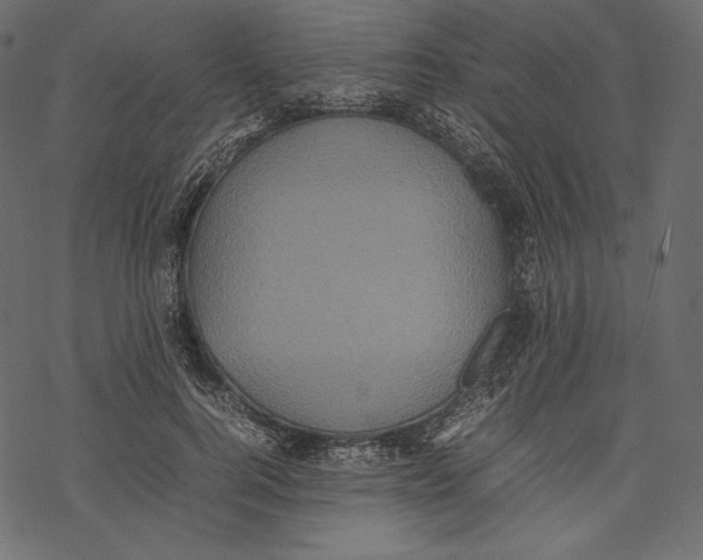 X0000067890744200605041552