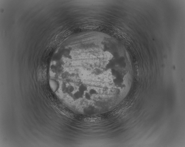 X0000067890745200605041552