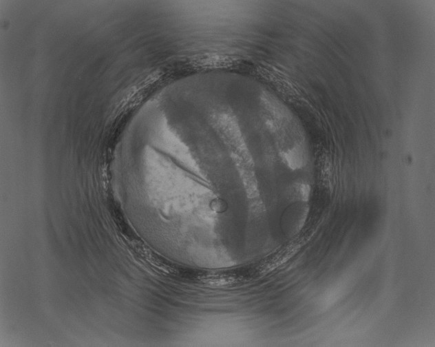 X0000067890746200605041552