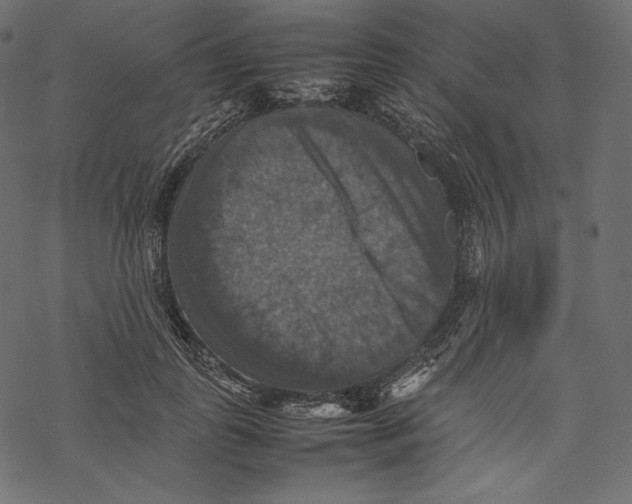 X0000067890747200605041552