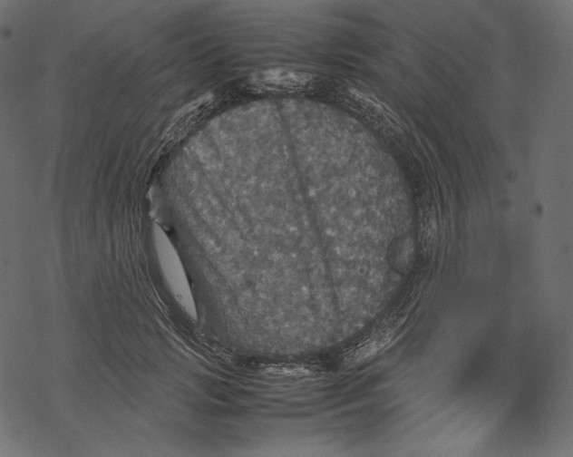 X0000067890749200605041552