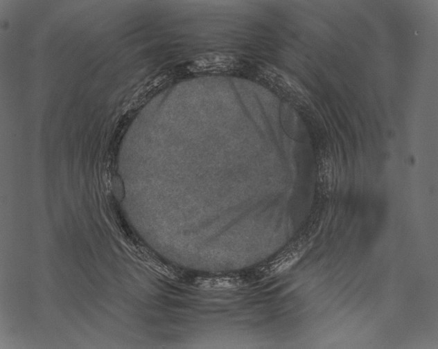 X0000067890751200605041552