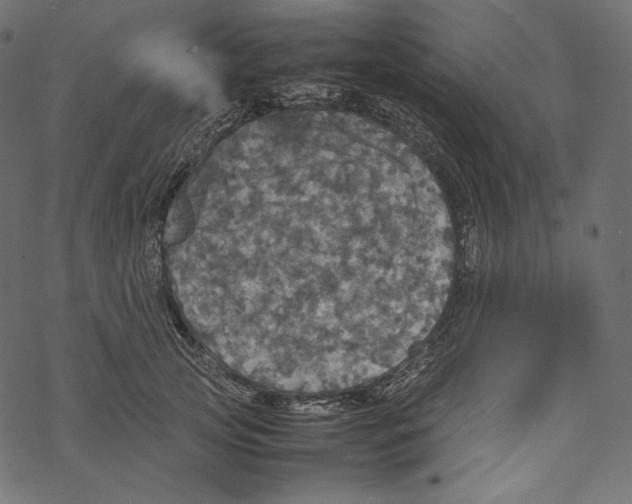 X0000067890753200605041552