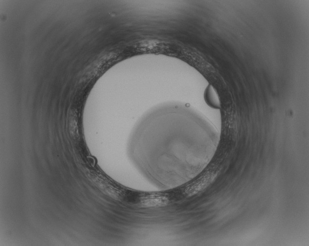 X0000067890754200605041552