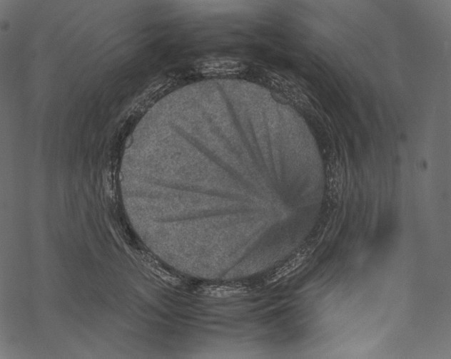 X0000067890755200605041552