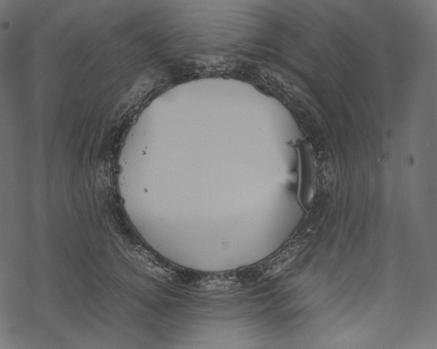 X0000067890756200605041552