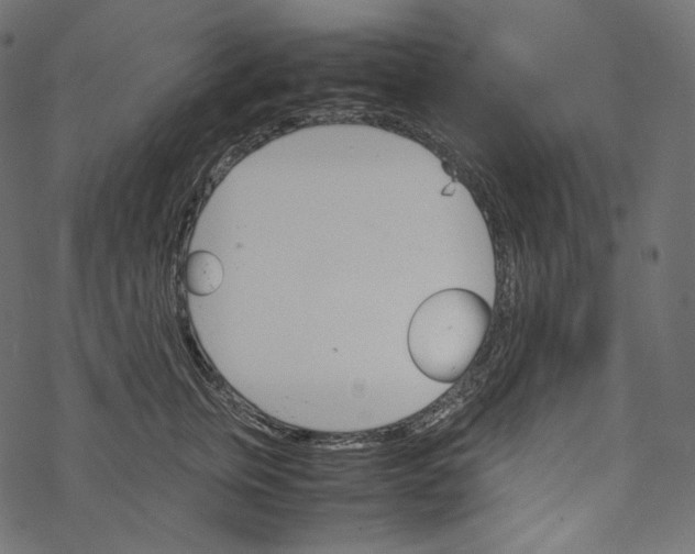 X0000067890759200605041552