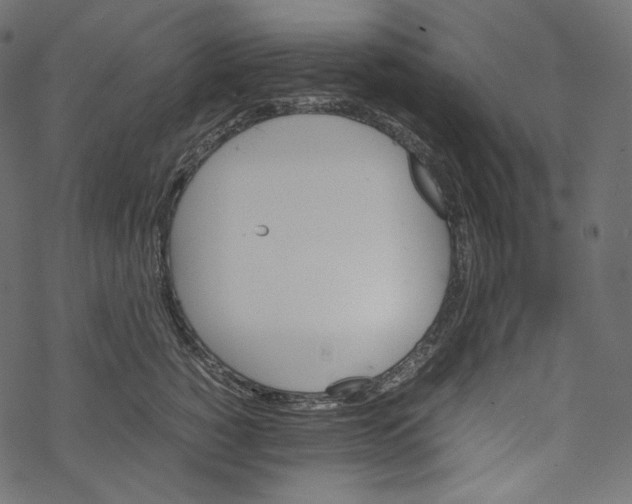 X0000067890760200605041552