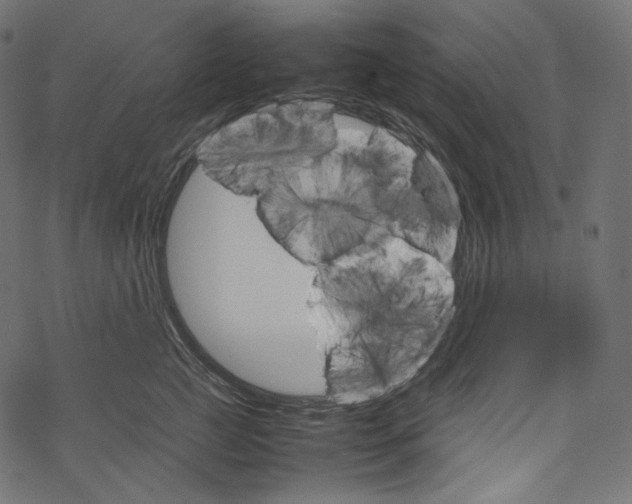 X0000067890761200605041552