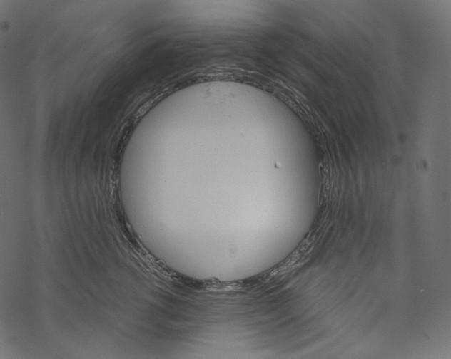 X0000067890762200605041552