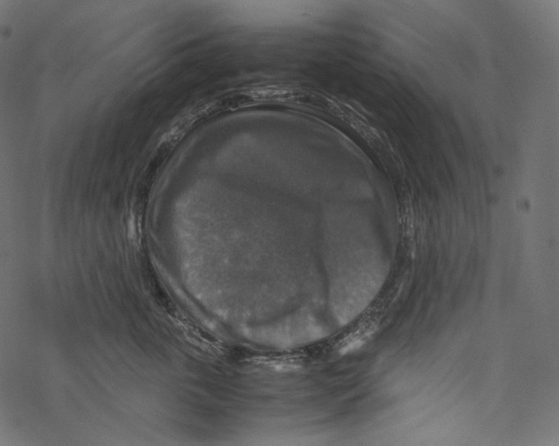 X0000067890763200605041552