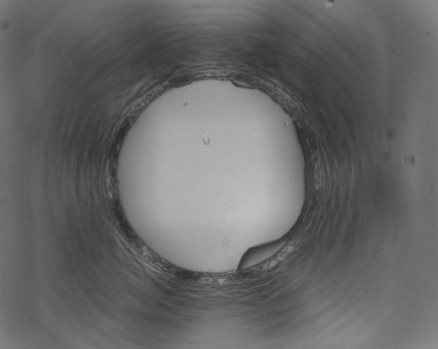 X0000067890764200605041552