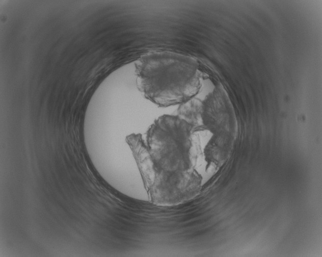 X0000067890765200605041552