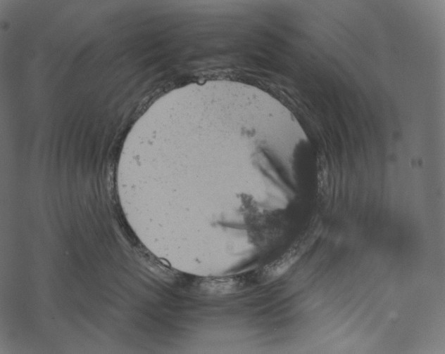 X0000067890767200605041552