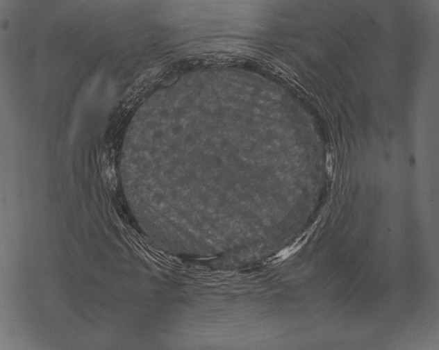 X0000067890771200605041551