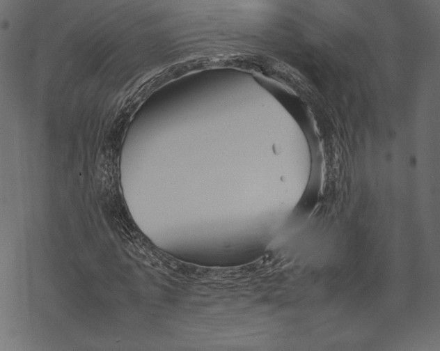 X0000067890773200605041551