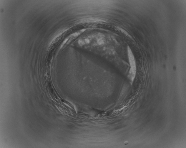 X0000067890775200605041551