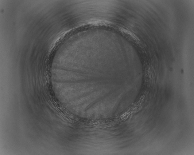 X0000067890776200605041551