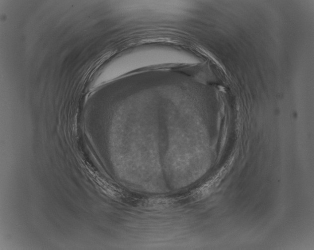 X0000067890777200605041551