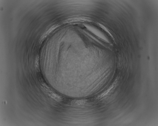 X0000067890778200605041551