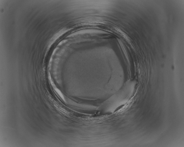 X0000067890779200605041551