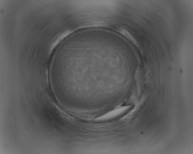 X0000067890781200605041551