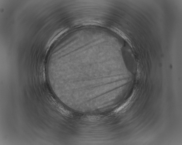 X0000067890782200605041551