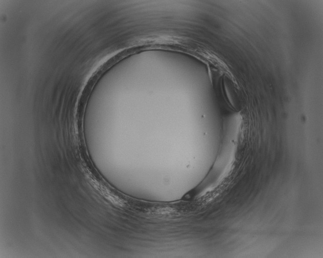 X0000067890784200605041551