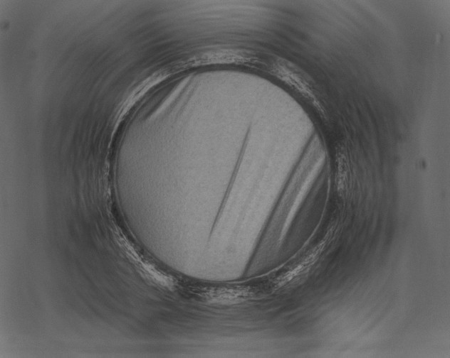 X0000067890786200605041551