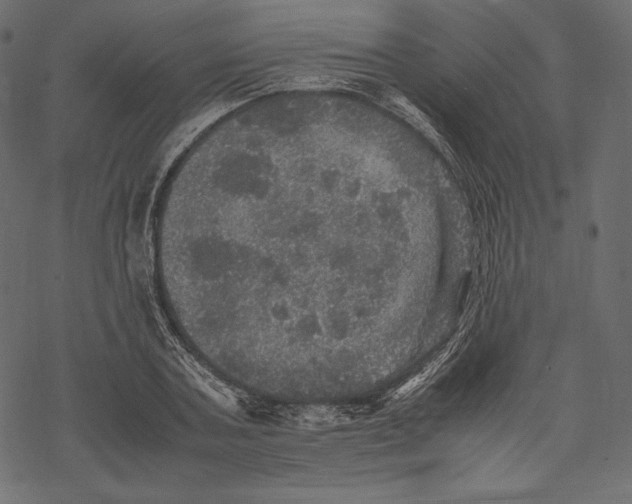 X0000067890787200605041551