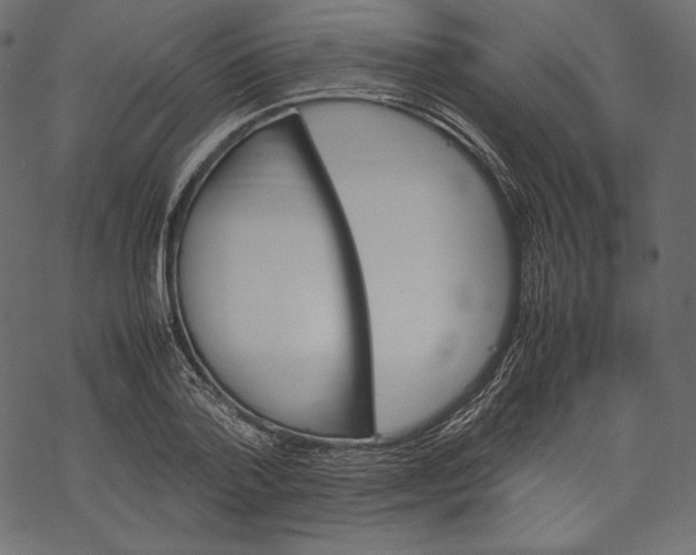 X0000067890788200605041551