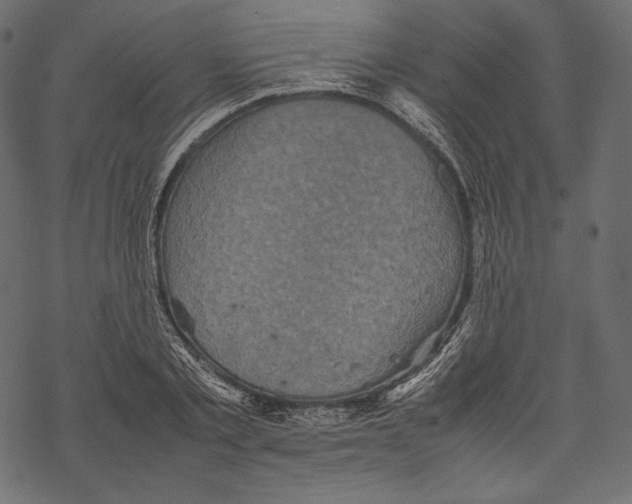 X0000067890789200605041551