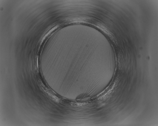 X0000067890790200605041551