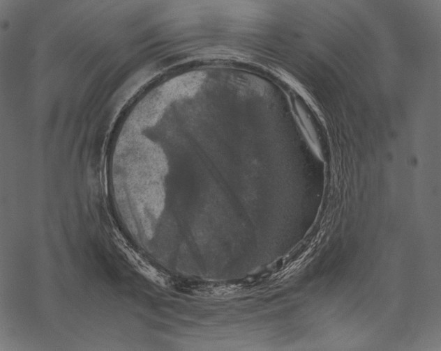 X0000067890791200605041551