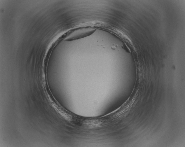 X0000067890792200605041551