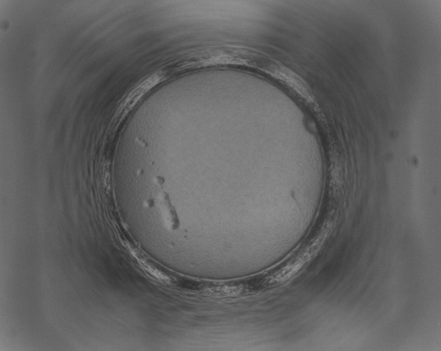 X0000067890793200605041551