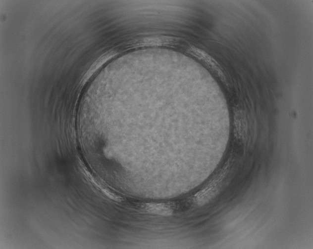 X0000067890794200605041551