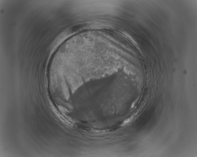 X0000067890795200605041551