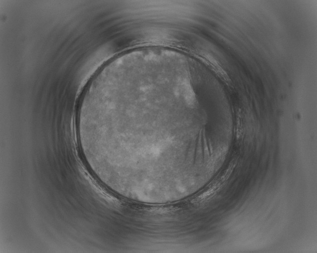 X0000067890796200605041551