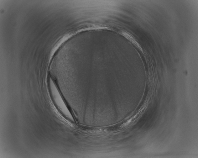 X0000067890797200605041551