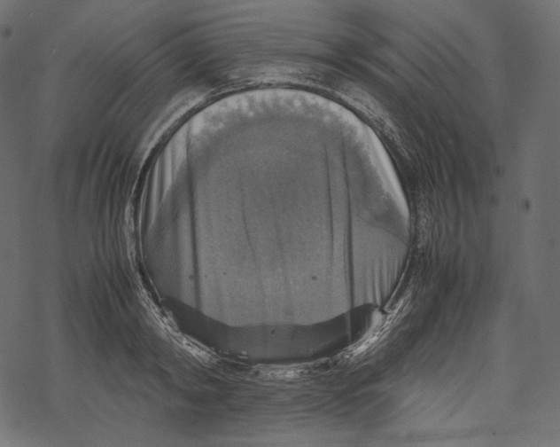 X0000067890798200605041551