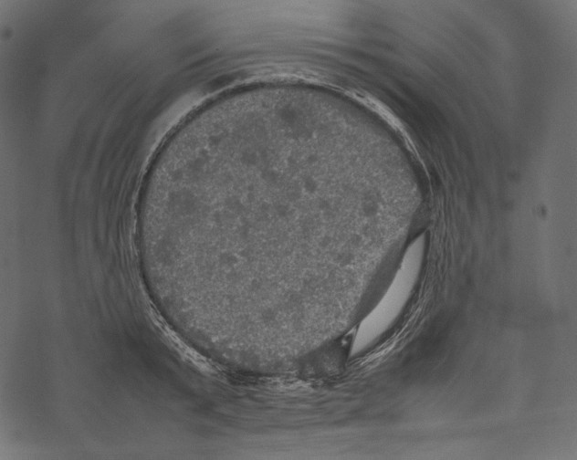 X0000067890799200605041551