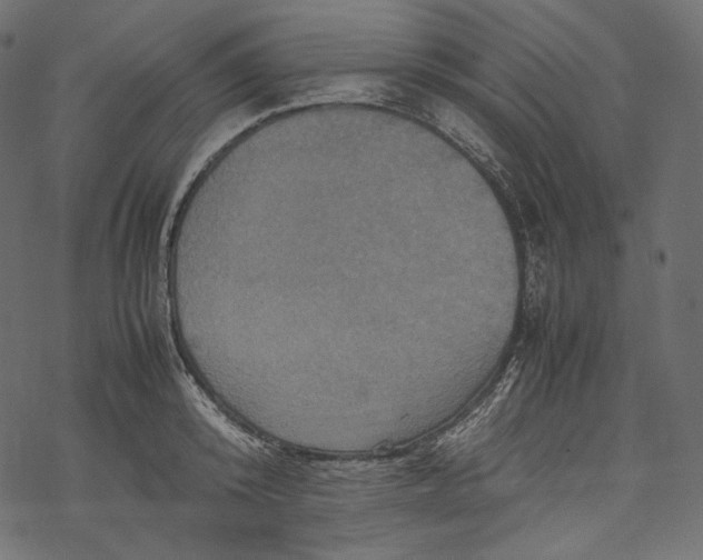 X0000067890800200605041551