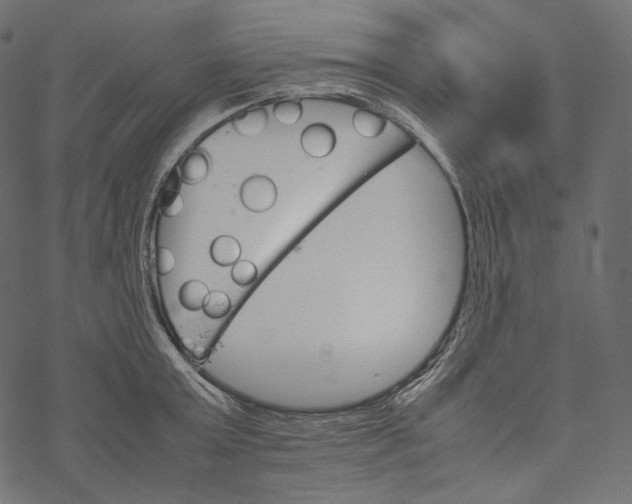 X0000067890803200605041551