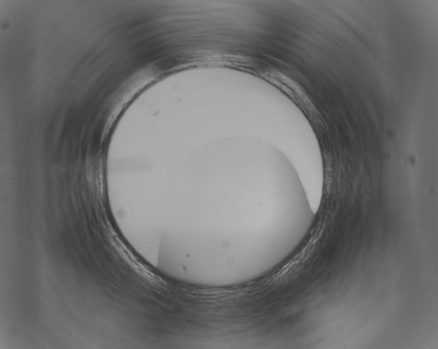 X0000067890804200605041551